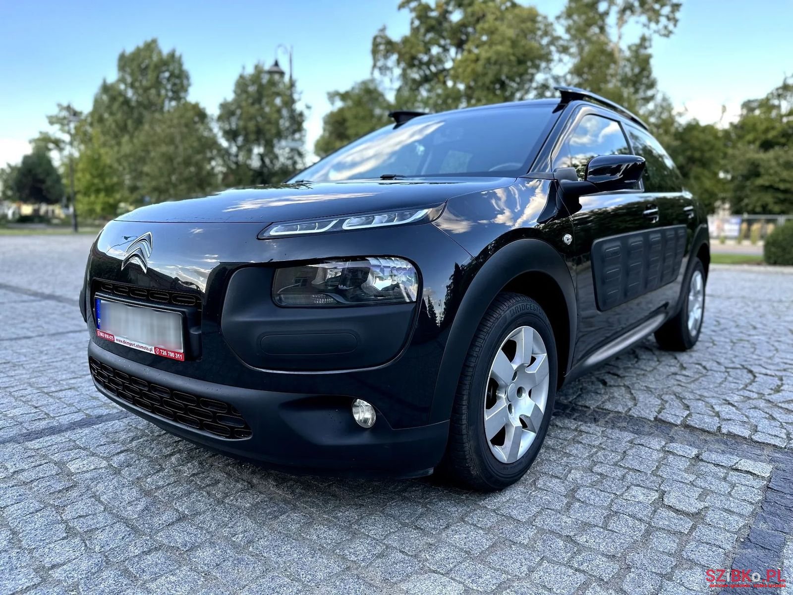 2014' Citroen C4 Cactus photo #1