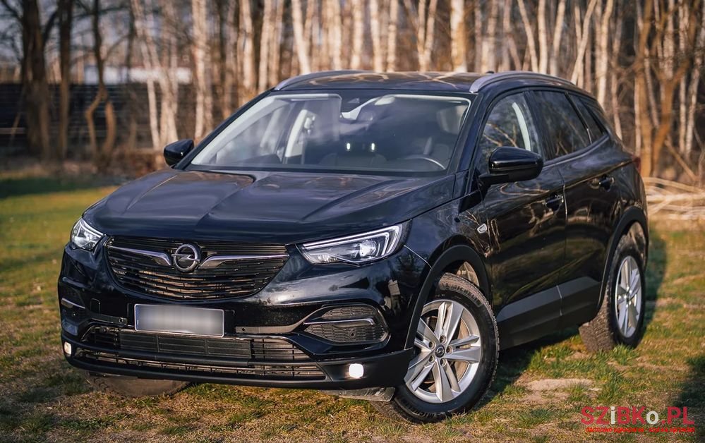 2018' Opel Grandland X photo #3