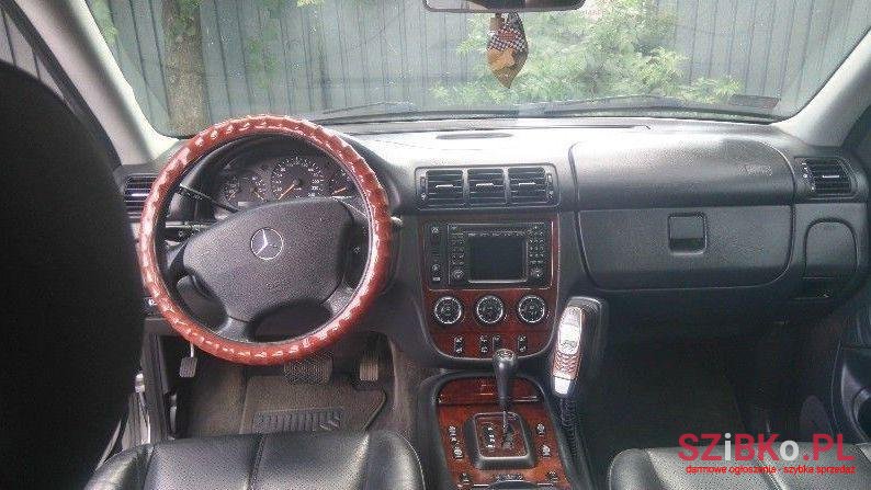 2002' Mercedes-Benz Klasa Ml photo #1