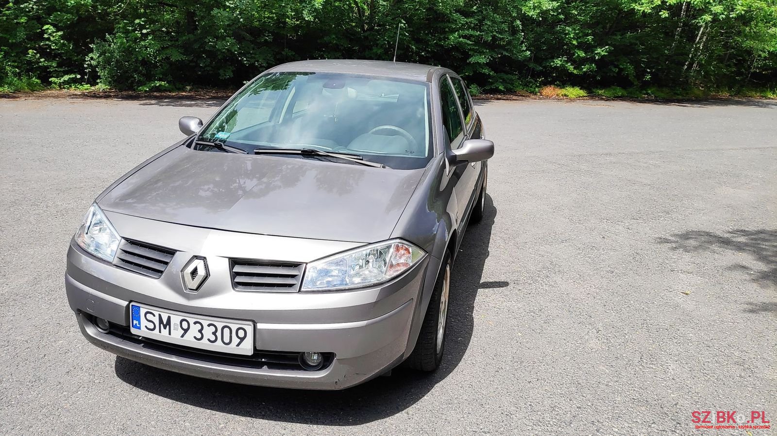 2003' Renault Megane photo #1