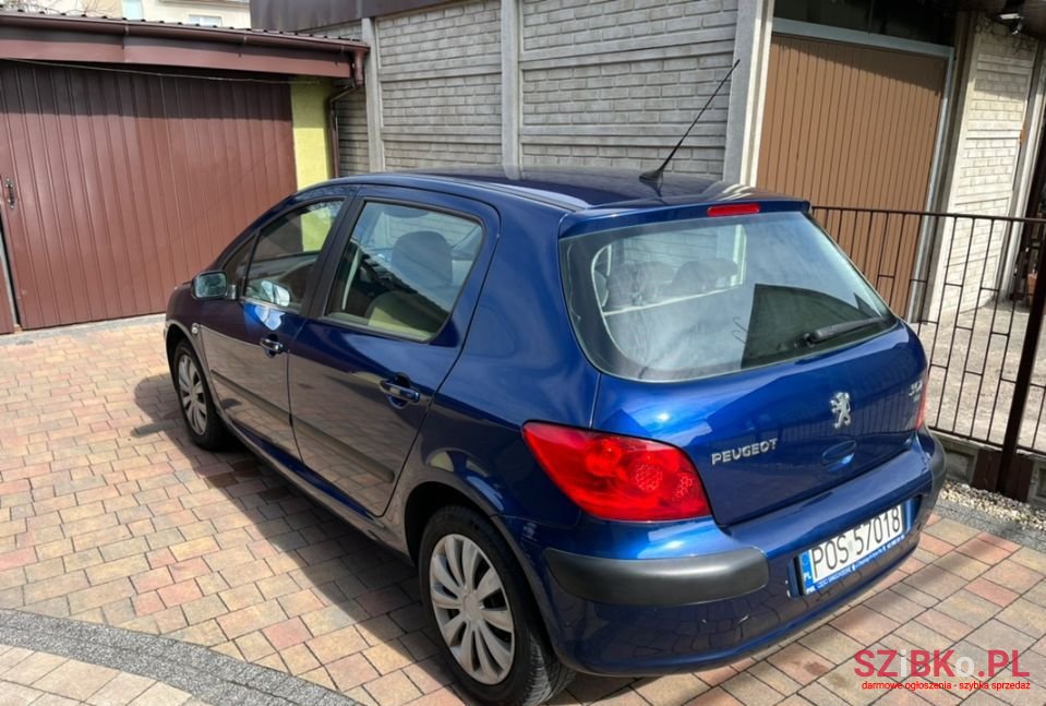 2006' Peugeot 307 photo #5