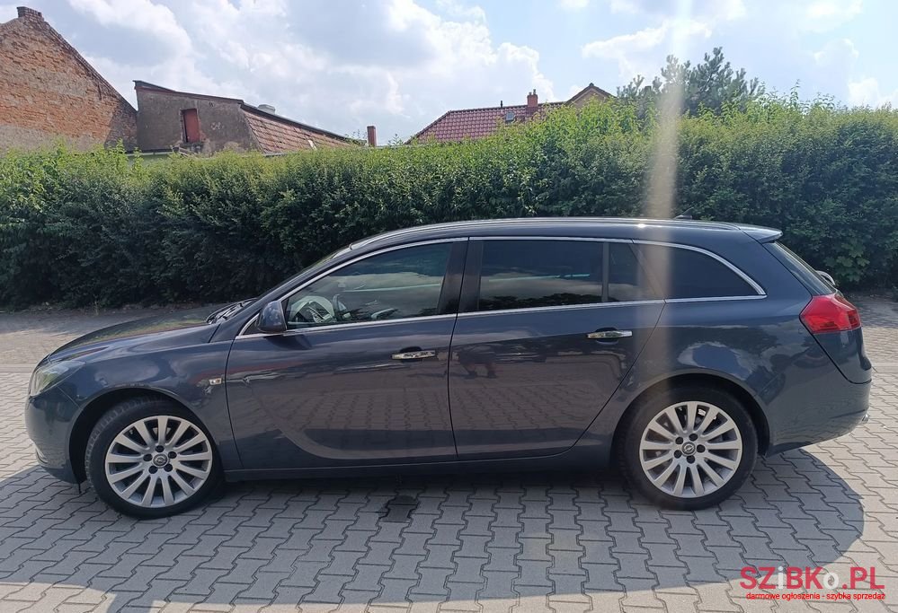 2010' Opel Insignia photo #6