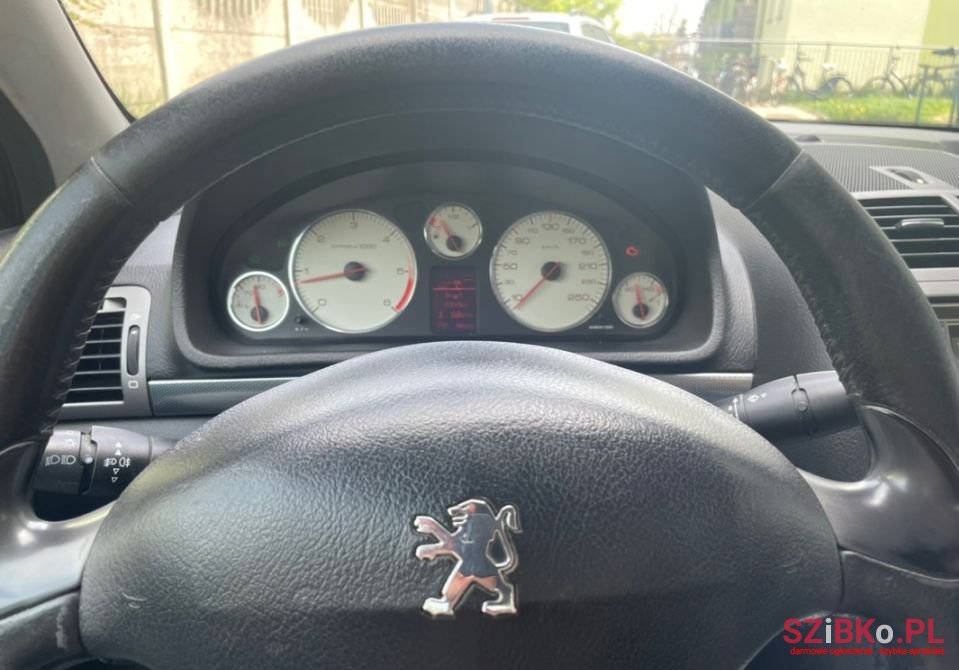 2004' Peugeot 407 photo #5