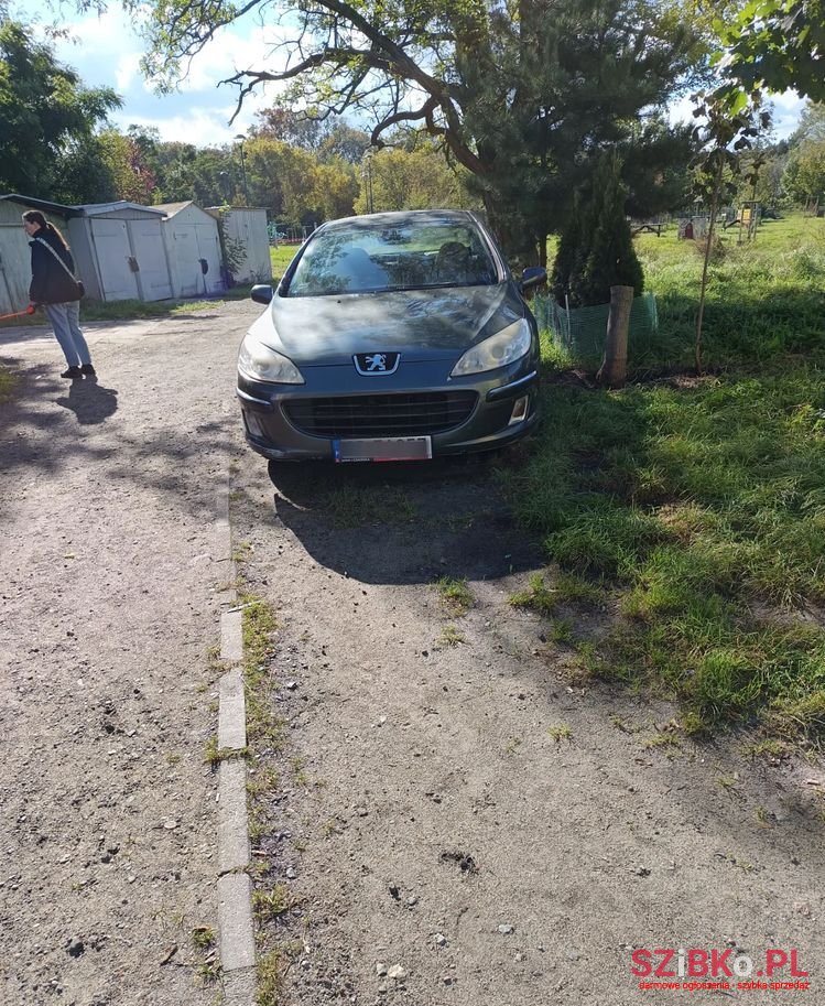 2007' Peugeot 407 photo #2