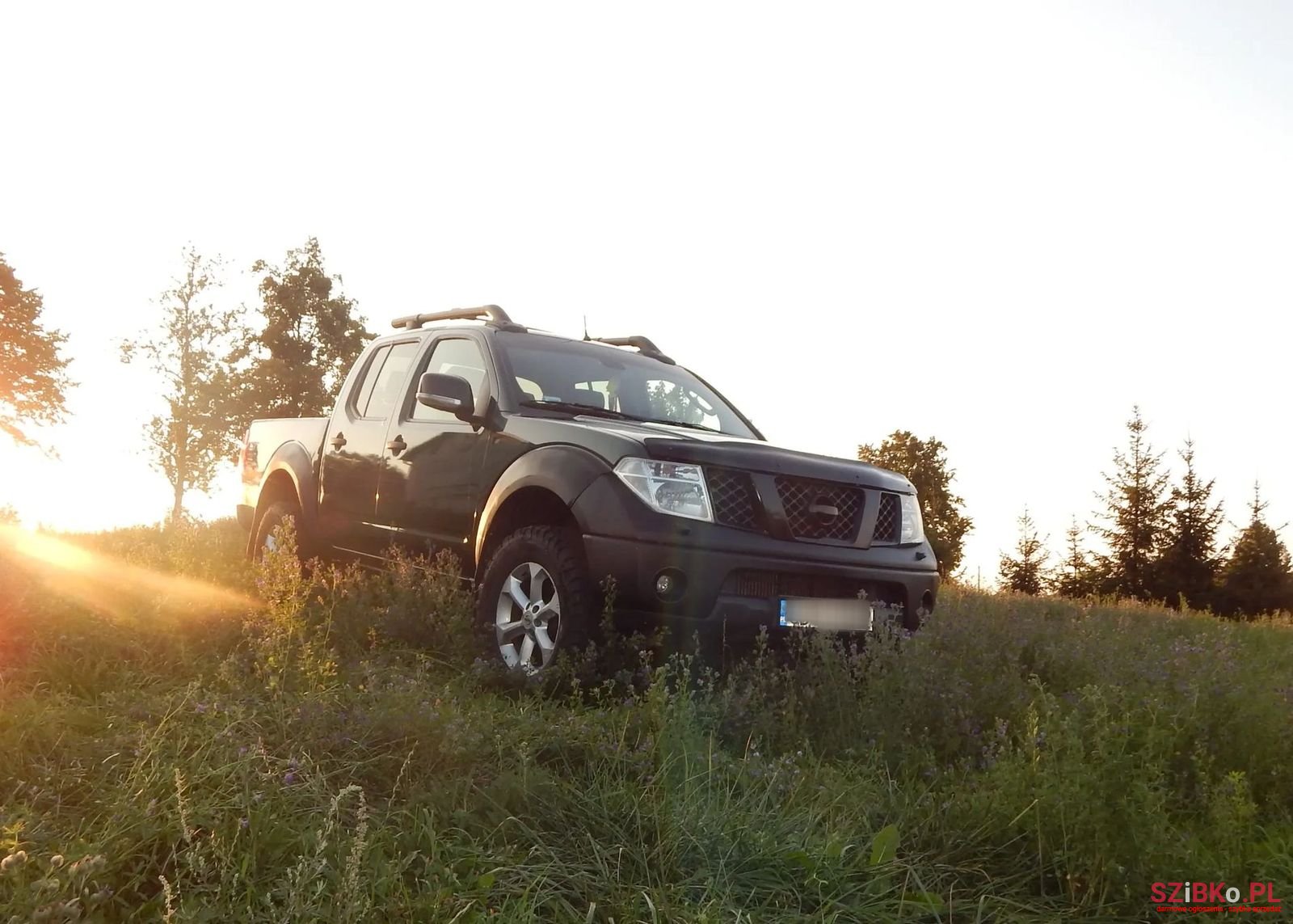 2007' Nissan Navara photo #1