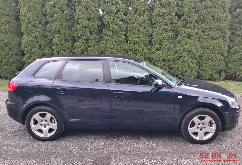 2007' Audi A3 1.6 Sportback photo #5