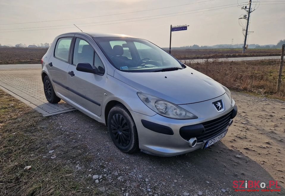 2005' Peugeot 307 photo #2