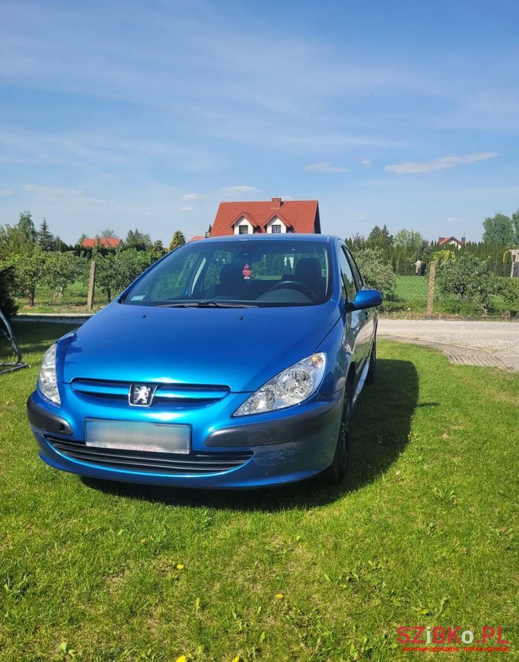2003' Peugeot 307 photo #1