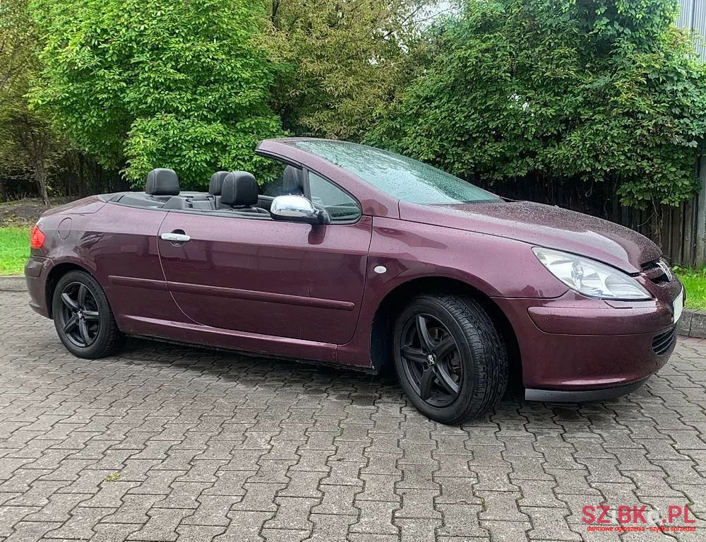 2003' Peugeot 307 photo #2