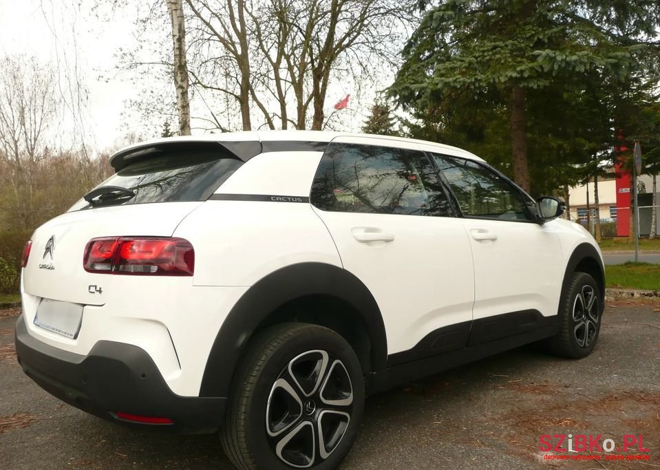 2020' Citroen C4 Cactus photo #4