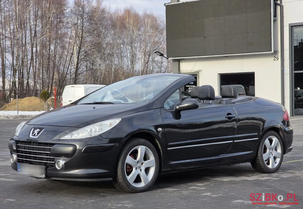 2007' Peugeot 307 140 Sport photo #5