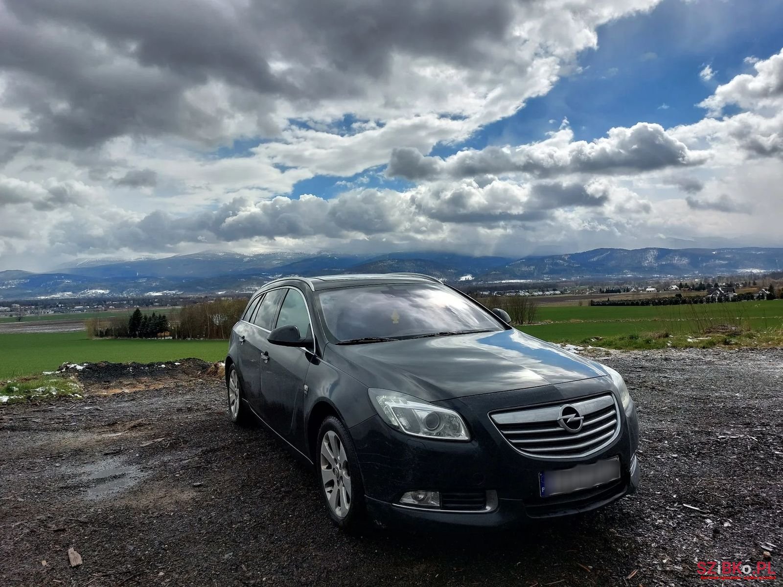 2011' Opel Insignia photo #3