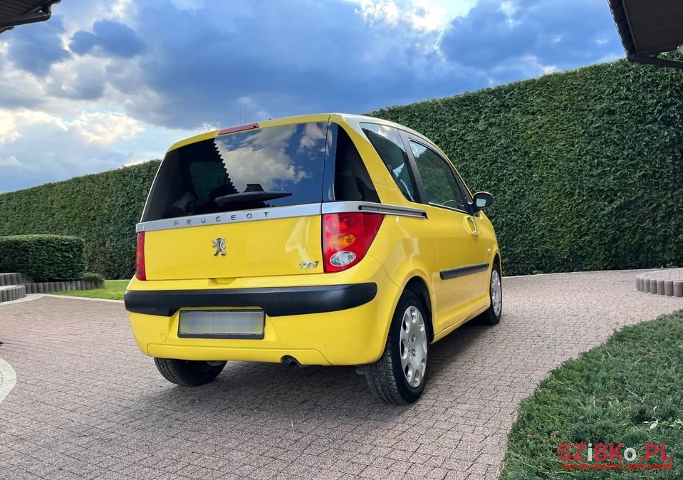 2005' Peugeot 1007 photo #4