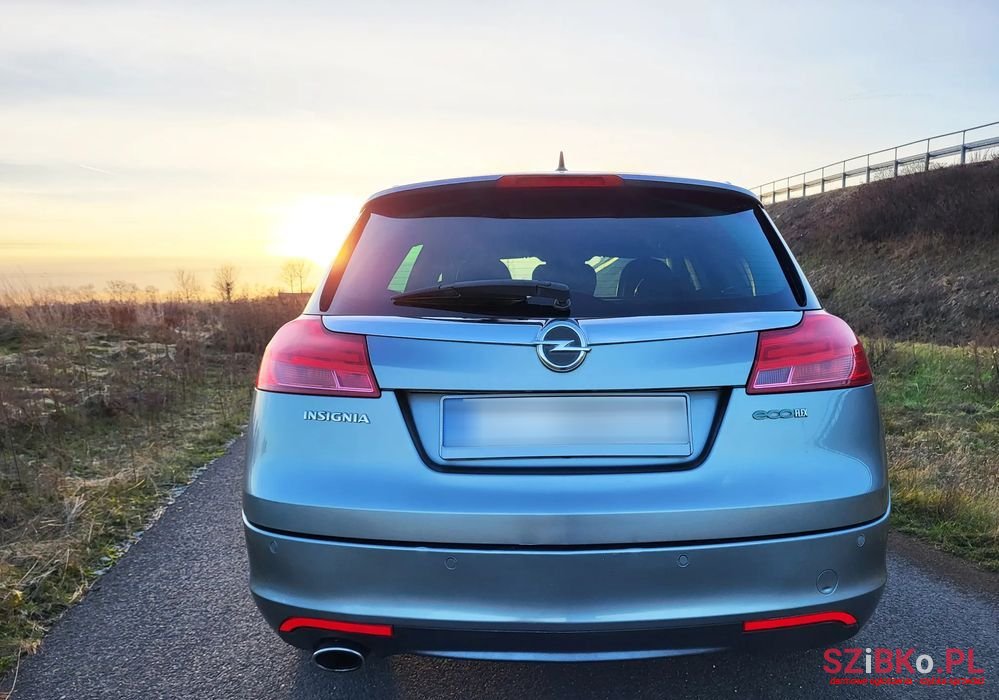 2009' Opel Insignia photo #4
