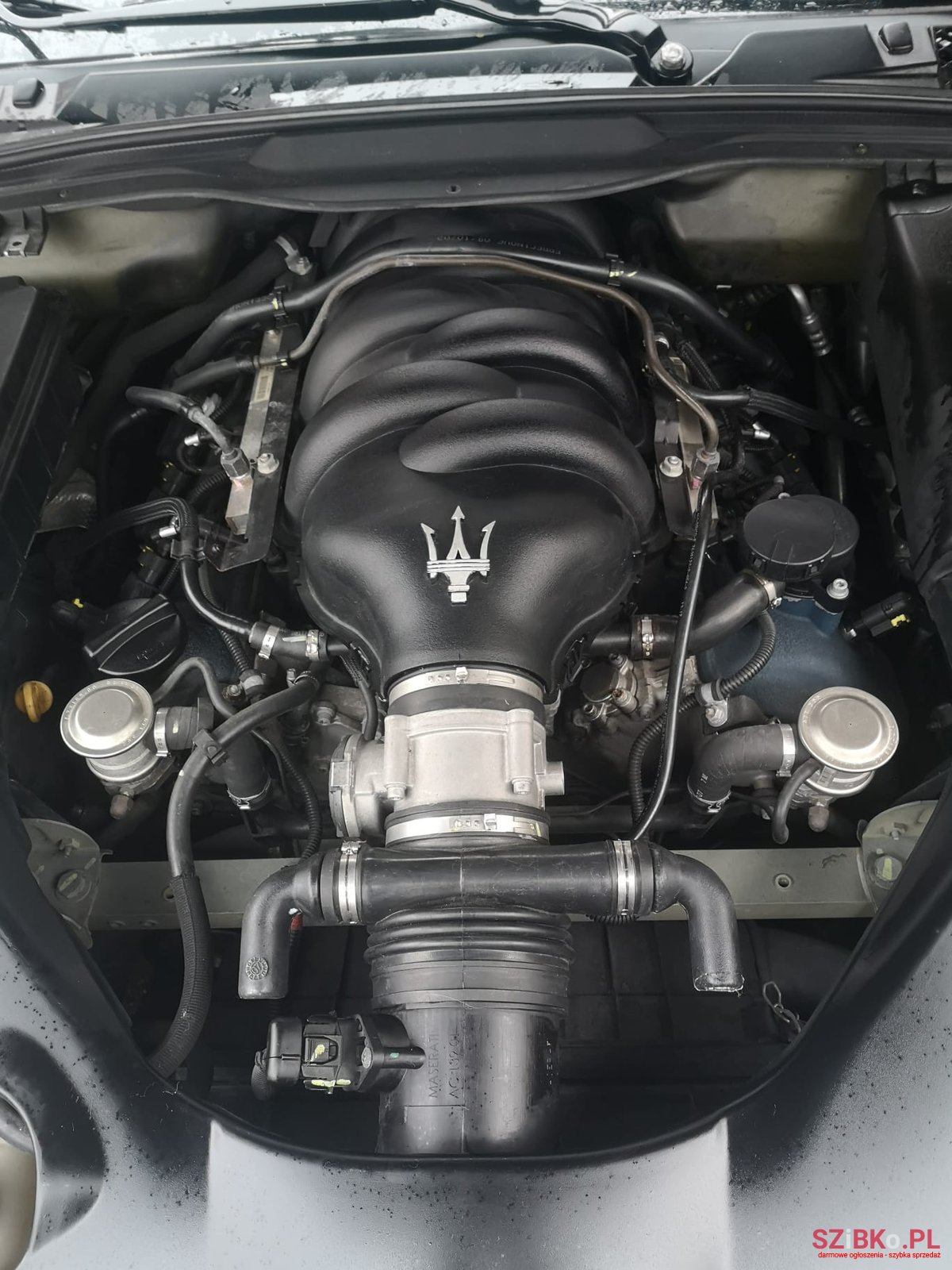 2008' Maserati GranTurismo 1 photo #1