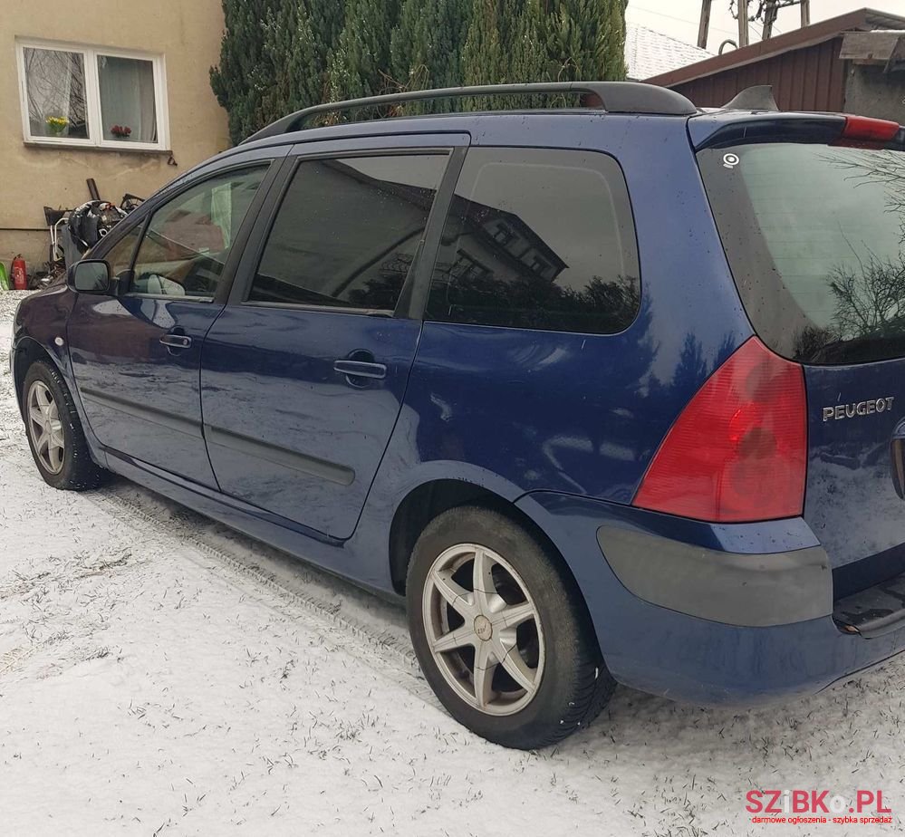 2002' Peugeot 307 1.6 photo #5
