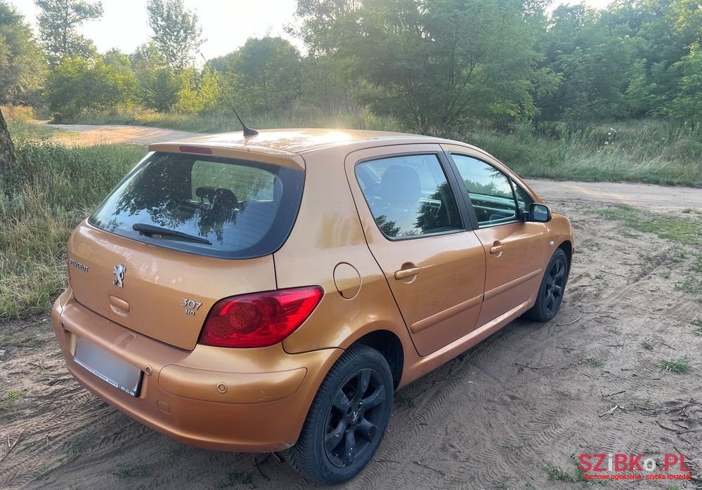 2006' Peugeot 307 photo #3
