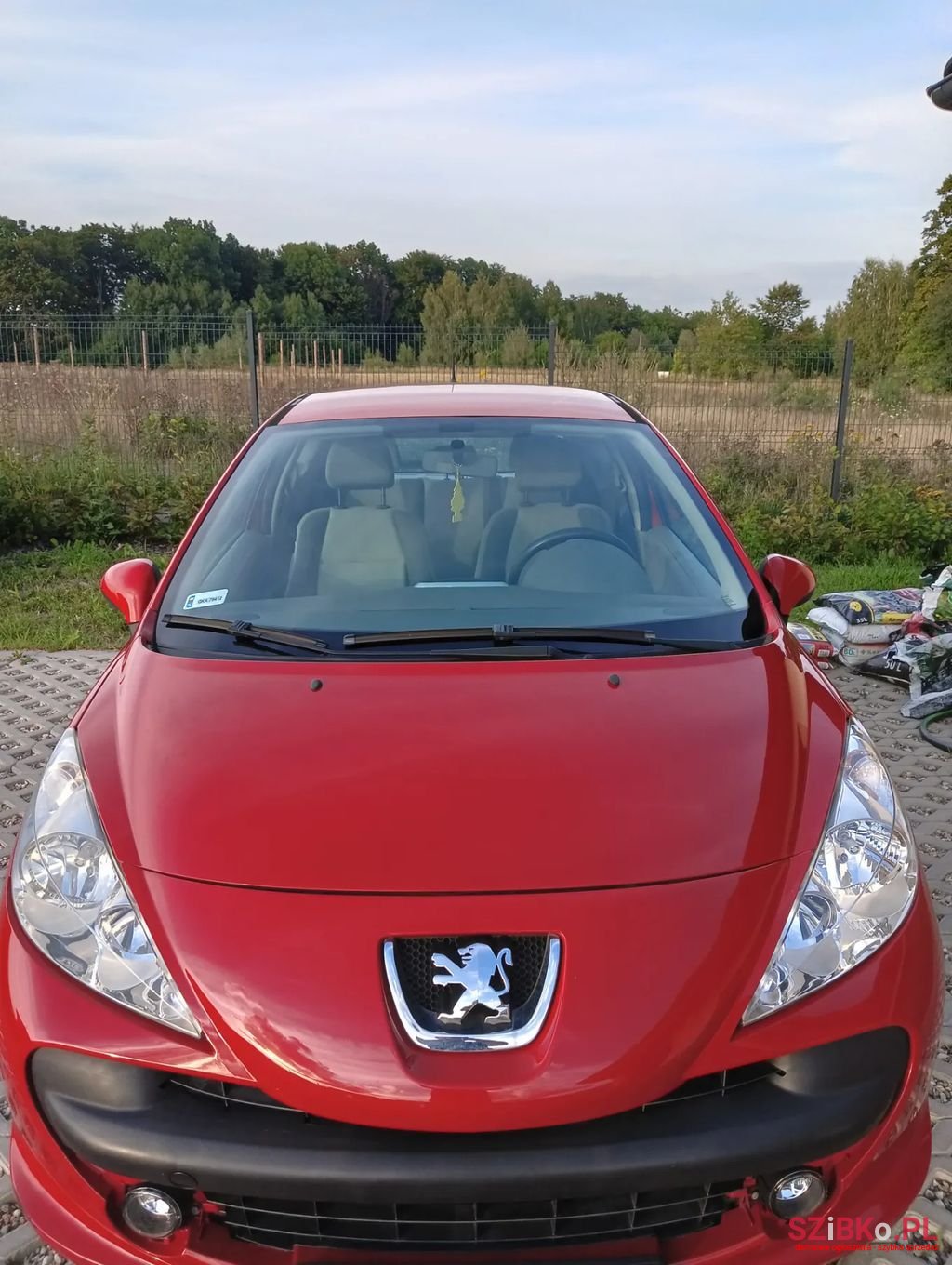 2008' Peugeot 207 photo #2