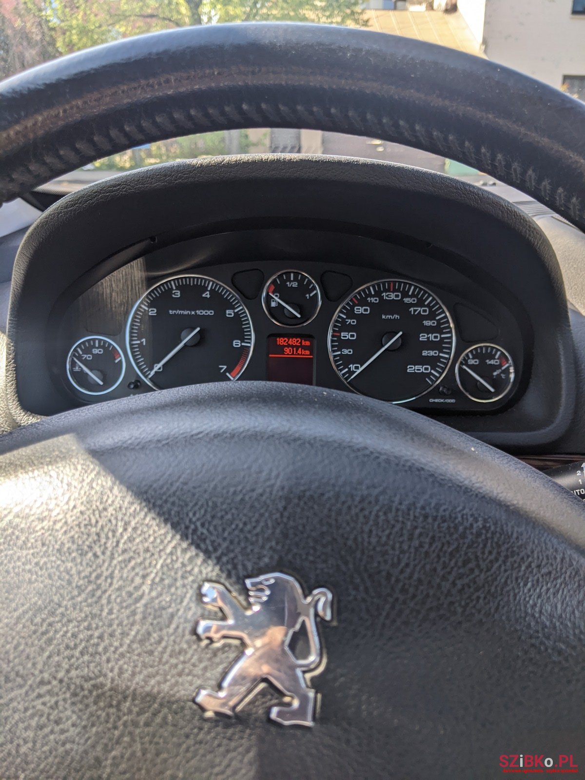 2007' Peugeot 407 photo #1