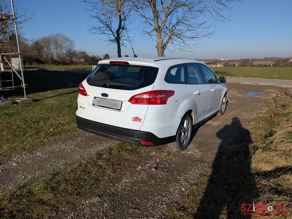 2014' Ford Focus photo #6