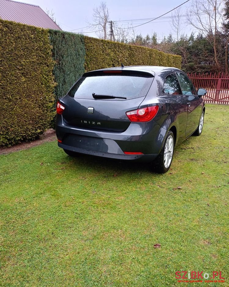 2010' SEAT Ibiza photo #4